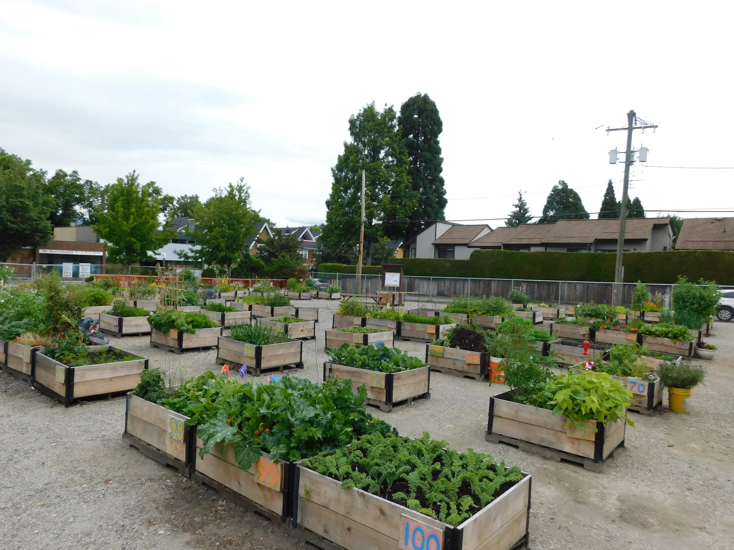 Building garden boxes and raised beds — Community Garden Builders